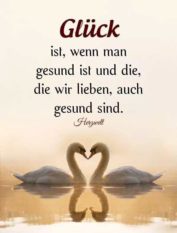 Glücks Zitate Glücks Zitate