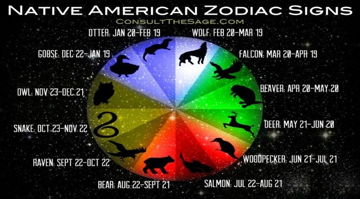 ZodiacCrush When Zodiac Signs Like You, This Is How They Act ZodiacCrush When Zodiac Signs Like You, This Is How They Act