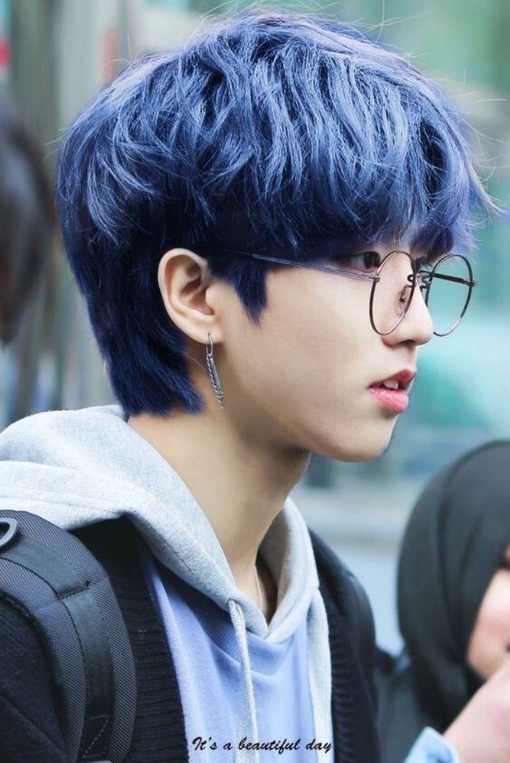 Han jisung | Mavi saç, Mavi saç modelleri, Bebek sincap
