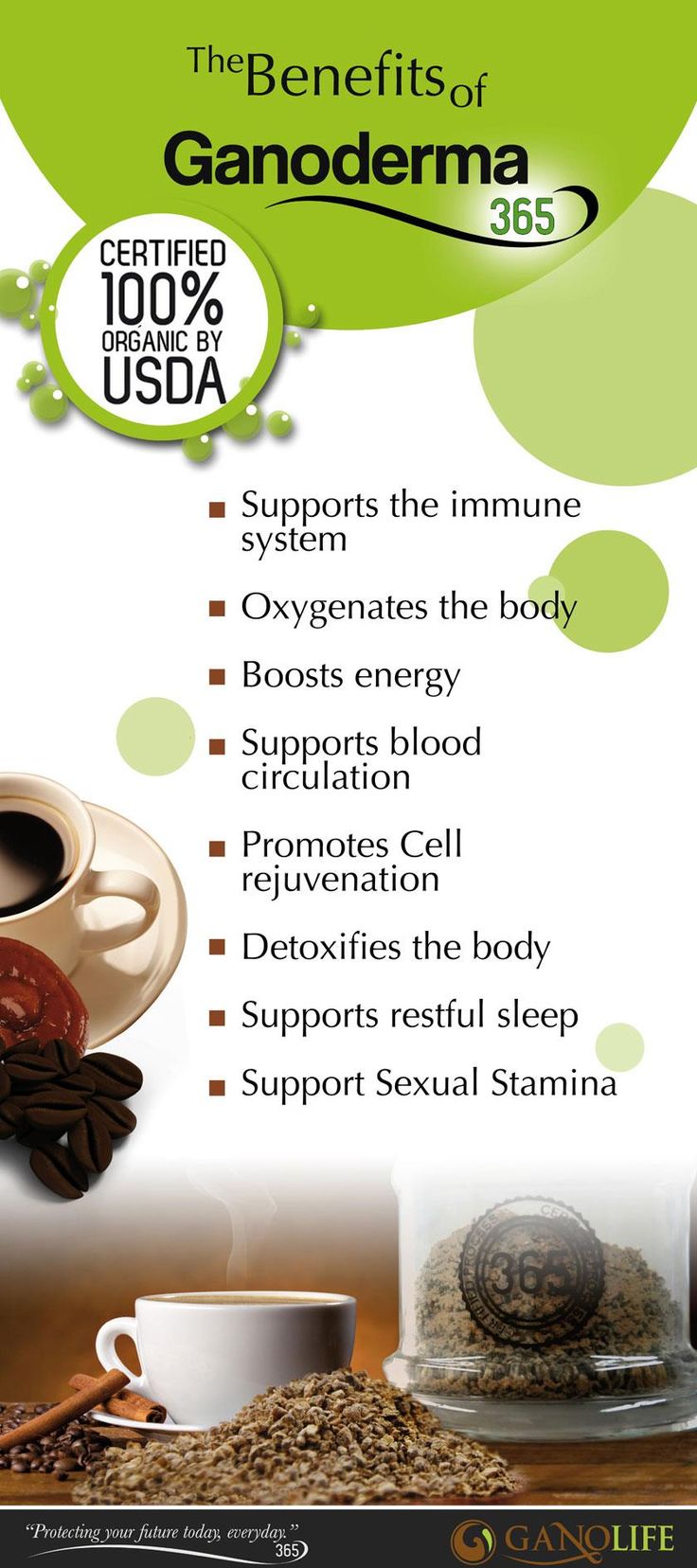 a healthy body shop excel