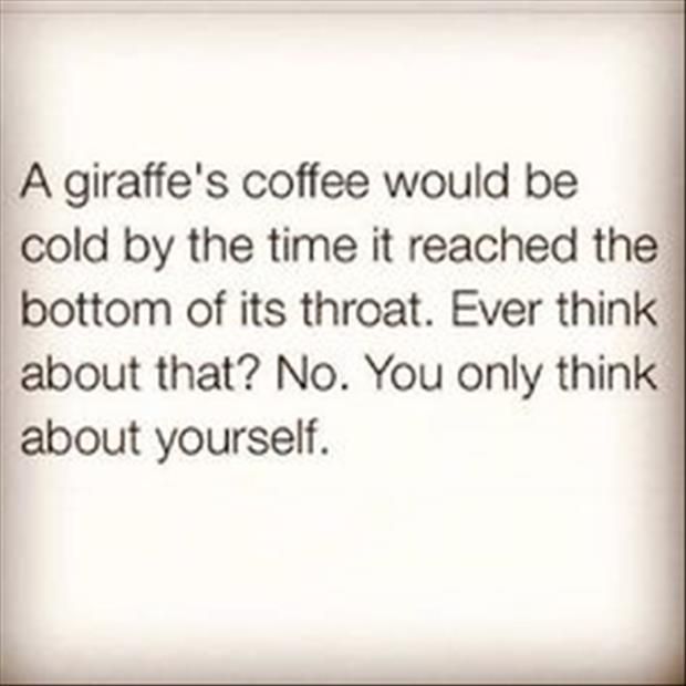 Funny Random Quotes Cool Best 25 Random Funny Quotes Ideas On Pinterest Funny But True Funny Random Quotes Fascinating Best 25 Random Funny Quotes Ideas On Pinterest Funny But True