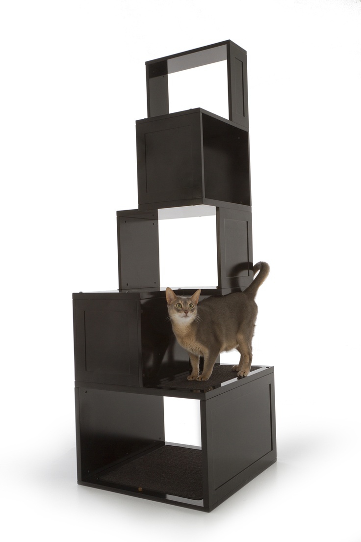 Best Cat Kids Images On Pinterest Cat Stuff Hidden Litter - Designer Pet Products The Sebastian Modern Cat Tree best cat kids images on pinterest cat stuff hidden litter - designer pet products the sebastian modern cat tree