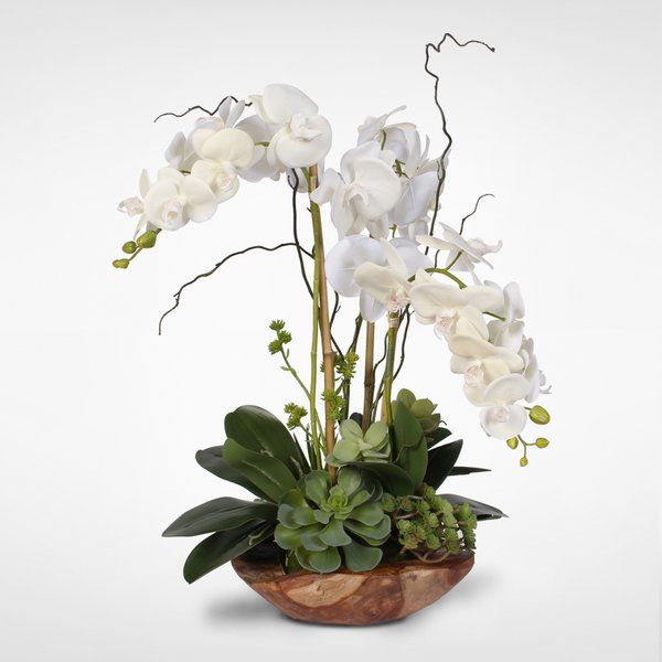 Orchid Flower Arrangement Ideas Orchid Flower Arrangements Flower Arrangements Simple Orchid Arrangements