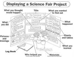 science projects format