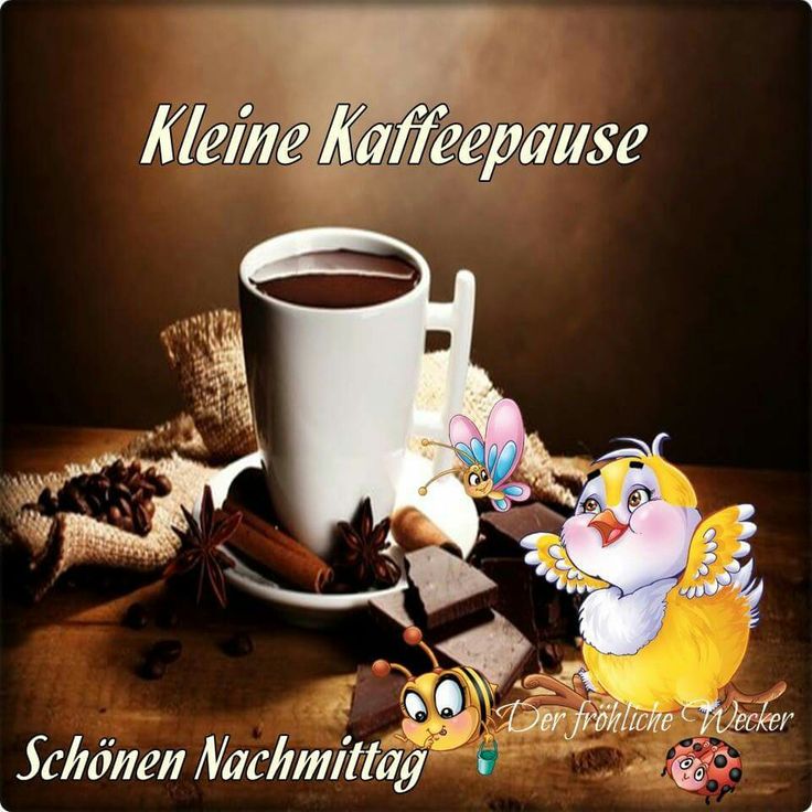 schГ¶nen nachmittag bilder schГ¶nen nachmittag bilder