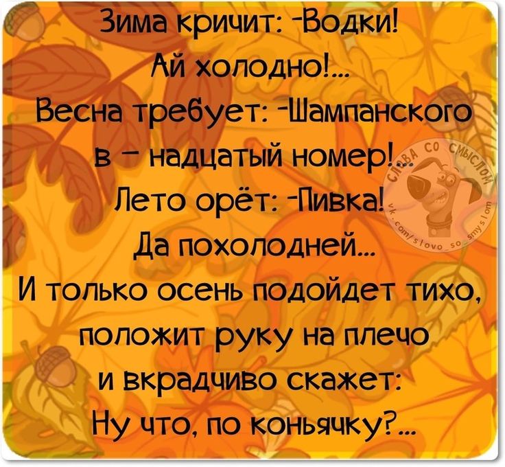 Картинки, картинки слова со смыслом прикольные свежак про осень