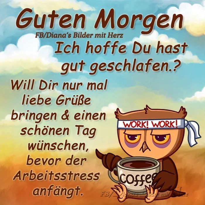 Bilder von guten morgen kostenlos