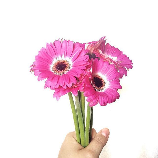 Welcome to Beau Fleurs Florist Napa, CA Same Day Flower Delivery In Woodbridge,Bradford, Vaughan, and Greater Toronto Area. Flowers For All Occasions, birthday, sympathy, events, anniversary and much more in Woodbridge, ON L4L2C7, Bradford ON L3Z 0X5 Call Today!