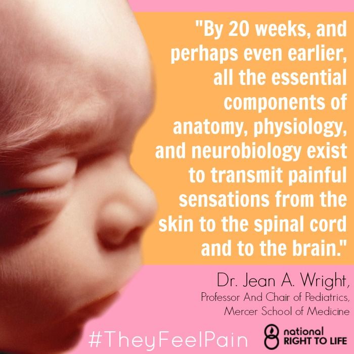 right of the unborn child What are my rights as a father of an unborn child and what are they after the child is born - answered by a verified solicitor. right of the unborn child What are my rights as a father of an unborn child and what are they after the child is born - answered by a verified solicitor.