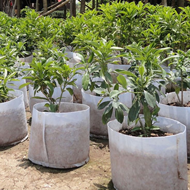 Fabric Pots Plant Pouch Root Container Grow Bag Aeration Garden Container Iy Fabric Pots Plant Pouch Root Container Grow Bag Aeration Garden Container Iy