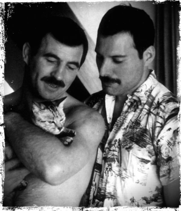 timothy hutton freddie best 20 jim hutton freddie mercury ideas on pinterest timothy hutton freddie best 20 jim hutton freddie mercury ideas on pinterest