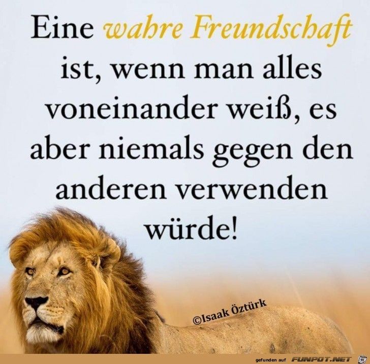 10 schöne Sprüche und Lebensweisheiten aus… 10 schöne Sprüche und Lebensweisheiten aus…