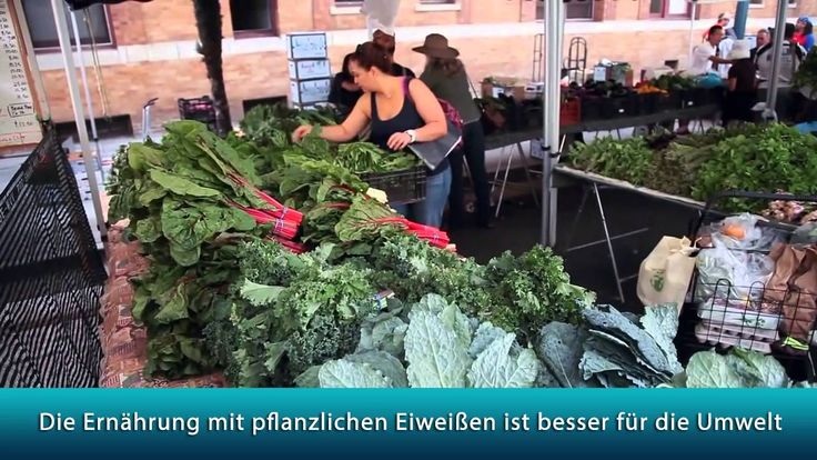Brazier Deutsch Brazier Deutsch