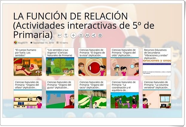 10 Actividades Interactivas Para El Estudio De La Función De Relación En 5º De Primaria Actividades Interactivas Kid Science Ciencias Naturales