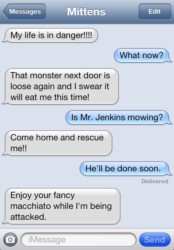 Texts from Mittens the Cat: How Dare You Go on Vacation Edition