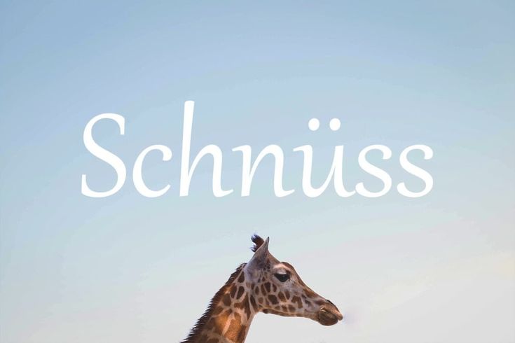 Es Ist Nicht Fremdgehen, Wenn Du Nicht Kommst Es Ist Nicht Fremdgehen, Wenn Du Nicht Kommst