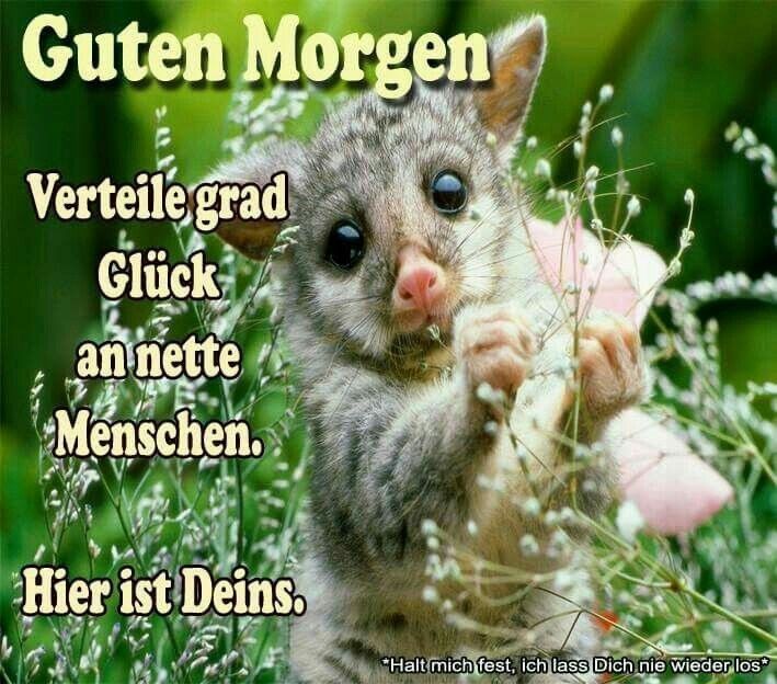 Guten Morgen GlГјck Guten Morgen GlГјck