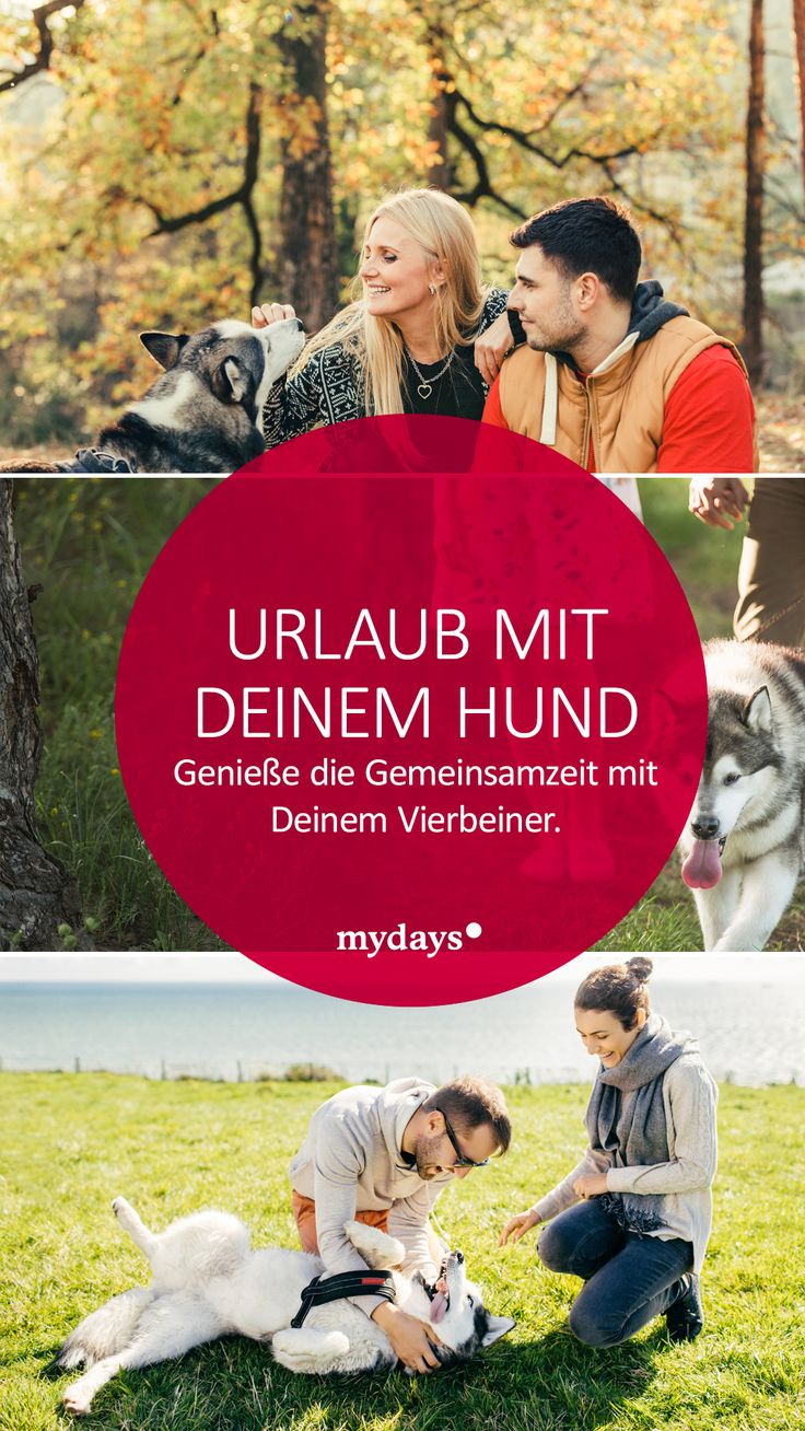 Männer kennenlernen mit hund