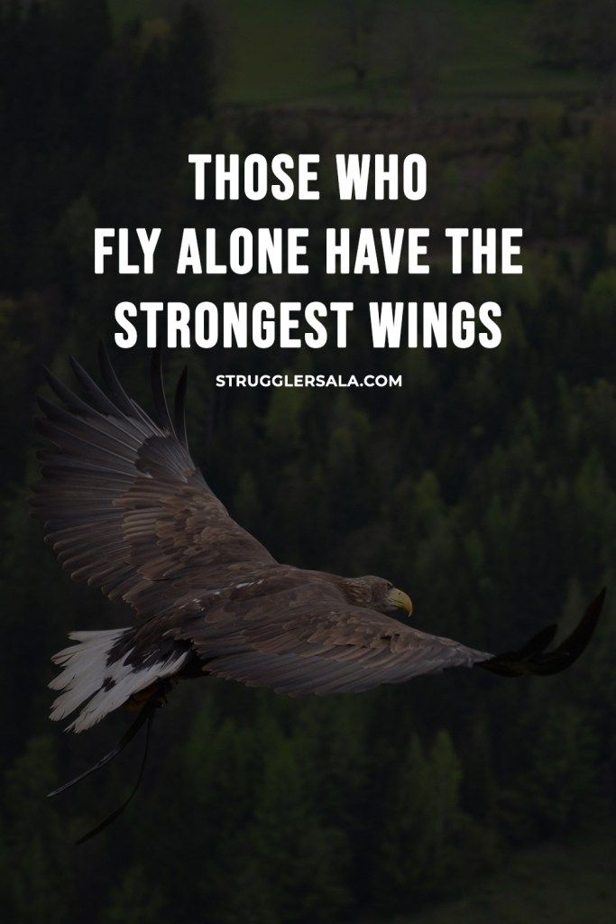 Those who fly alone have the strongest wings strugglersala In 2020 those-who-fly-alone-have-the-strongest-wings-strugglersala-in-2020