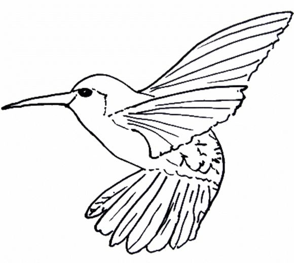 Line Drawing Bird : Best line drawings images on pinterest appliques