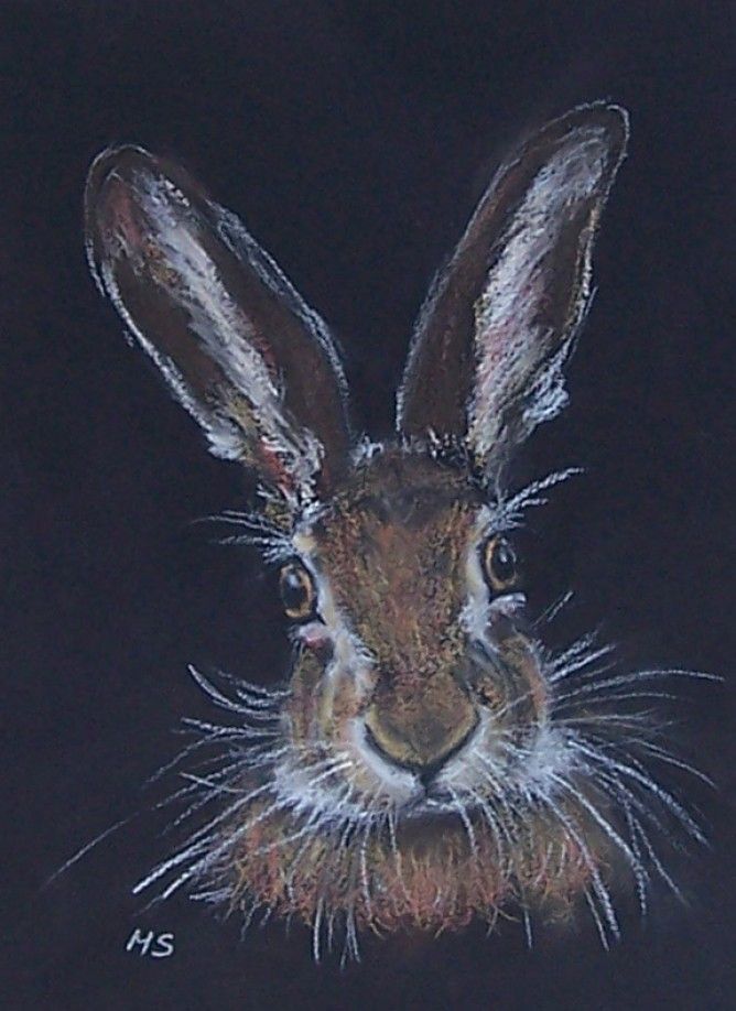 March hare interracial artist thanks The expert, March hare interracial artist