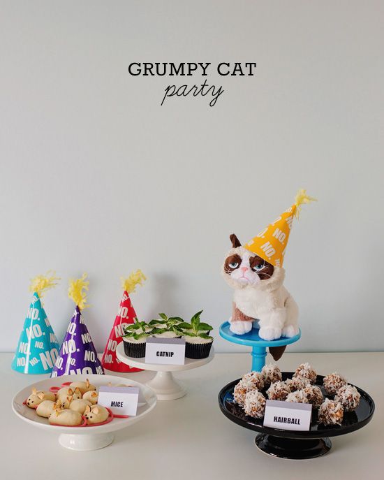 Grumpy Cat Party Ideas One Charming Party Birthday | best 25 grumpy cat birthday ideas on pinterest grumpy Grumpy Cat Party Ideas One Charming Party Birthday | best 25 grumpy cat birthday ideas on pinterest grumpy