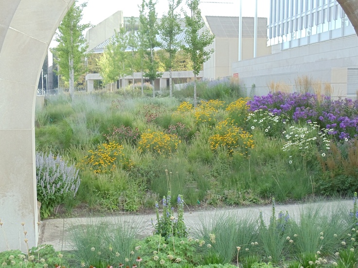 Flower Garden Ideas Wisconsin 53 best know maintenance gardening (tm) developedroy diblik Flower Garden Ideas Wisconsin 53 best know maintenance gardening (tm) developedroy diblik