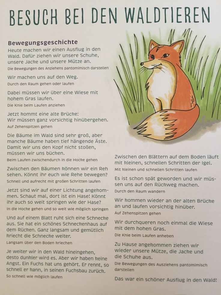 Bewegungsgeschichte “Wir gehen in den Wald Bewegungsgeschichte “Wir gehen in den Wald