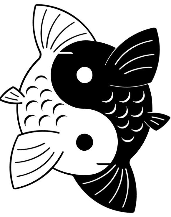 yin yang koi by yurayah