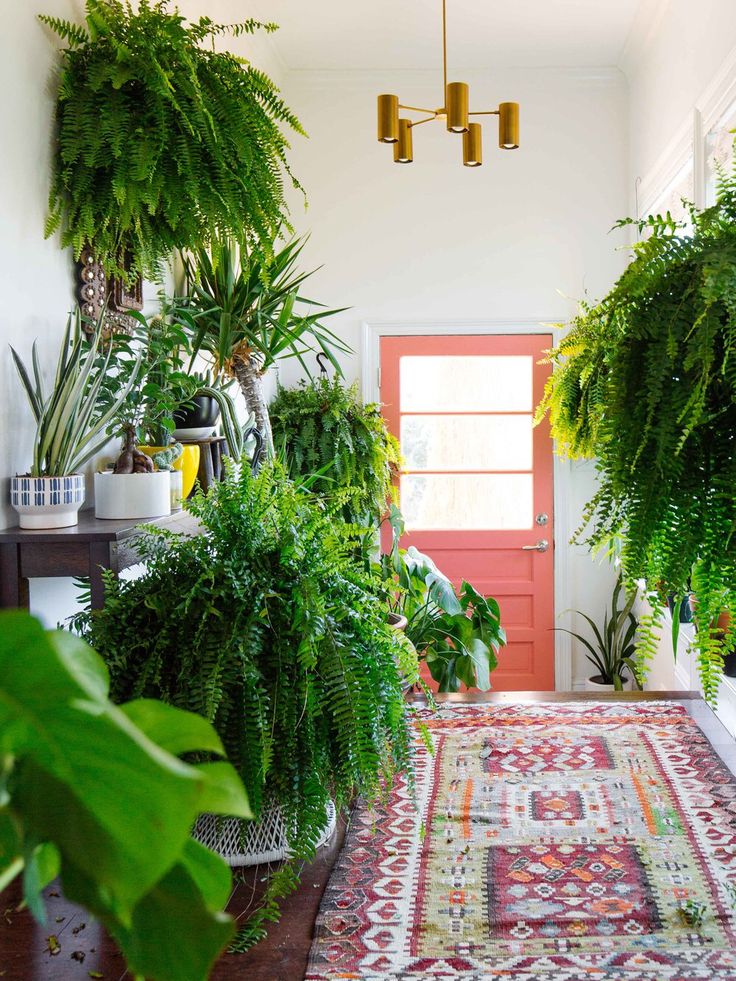 best 25+ green homes ideas on pinterest | building green homes best 25+ green homes ideas on pinterest | building green homes