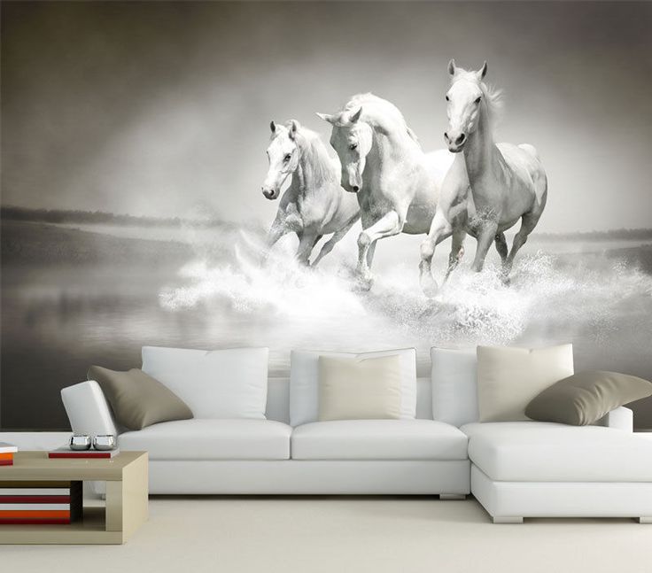 Die besten 25+ Fototapete pferd Ideen auf Pinterest Pferdefotos - schlafzimmer kaufen ebay Die besten 25+ Fototapete pferd Ideen auf Pinterest Pferdefotos - schlafzimmer kaufen ebay