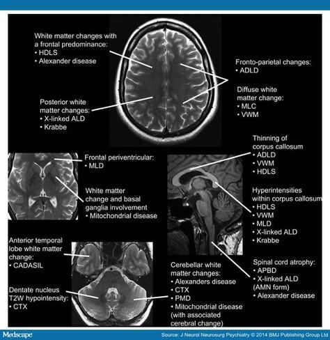 Best 25+ Radiology ideas on Pinterest Radiology student, X ray - radiologist job description Best 25+ Radiology ideas on Pinterest Radiology student, X ray - radiologist job description