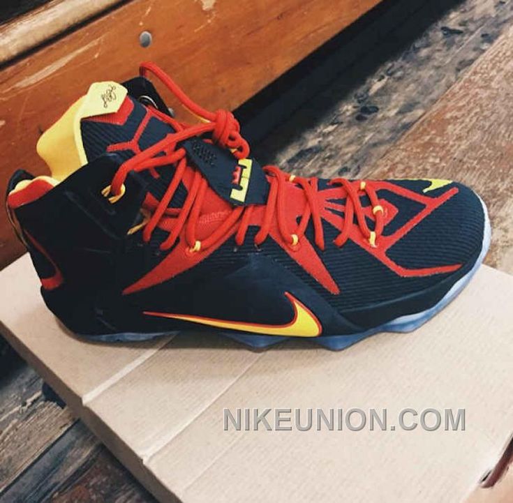 Sale Online Nike LeBron 12 Florida Gators PE