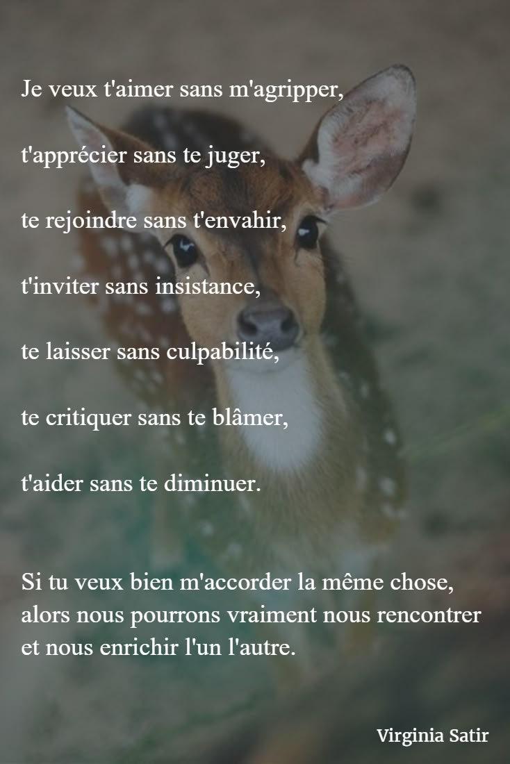 Trouver l amour
