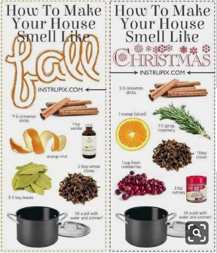 Aromatic Smells For Fall And Holiday Seasons Potpourri Recipes Stove aromatic-smells-for-fall-and-holiday-seasons-potpourri-recipes-stove