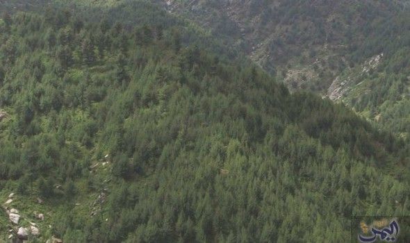 مشروع Natural Landmarks Nature Landmarks