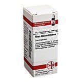 Rhus toxicodendron C30 bei Arthrose und Gelenkschmerzen