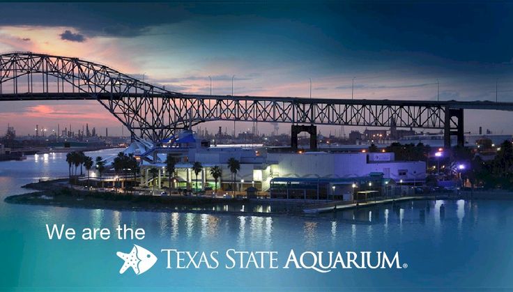 Discount coupons texas state aquarium corpus christi tx
