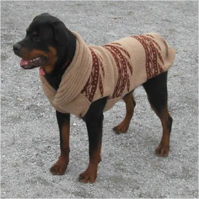 Best 25+ Large dog sweaters ideas on Pinterest Dog ...