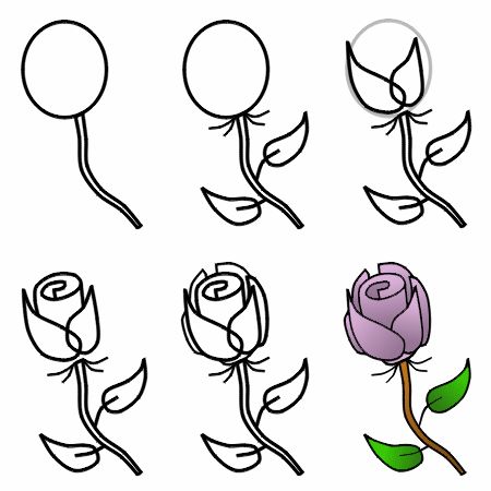 How To Draw A Rose That Looks Fresh In A Few Easy Steps