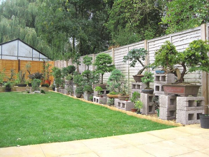 bonsai gardens amazing bonsai garden bonsai pinterest garden and garden bonsai gardens amazing bonsai garden bonsai pinterest garden and garden