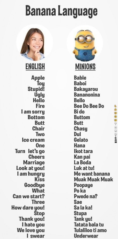 minion talk lol laughtard lmao funnypics funnypictures humor