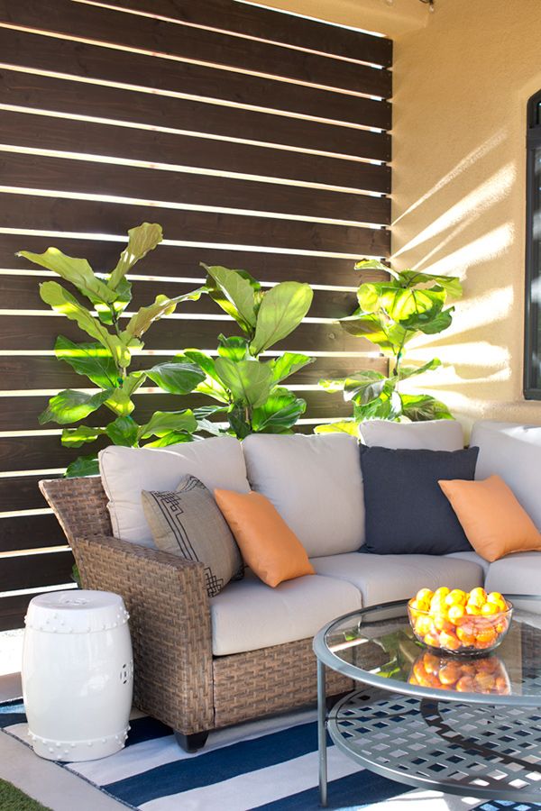 best 25 outdoor privacy ideas on pinterest privacy shades patio privacy and privacy trellis - Outdoor Patio Privacy Ideas best 25 outdoor privacy ideas on pinterest privacy shades patio privacy and privacy trellis - Outdoor Patio Privacy Ideas