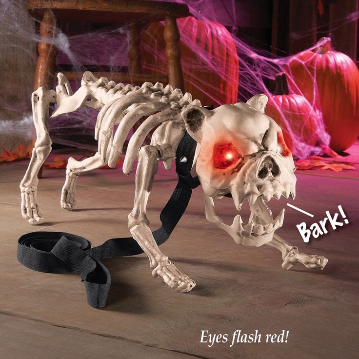 Barking Skeleton Dog Halloween Decoration Acoutlet Dog skeleton