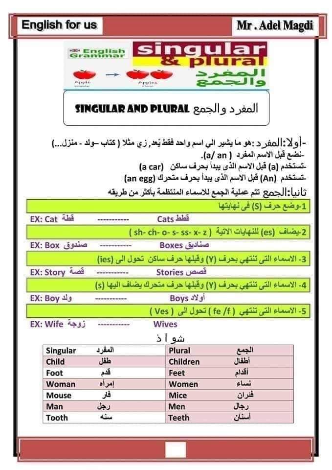 اساسيات اللغة الانجليزية سنة اولى متوسط Ency Education الموقع الاول للدراسة في الجزائر Plurals Singular And Plural Education