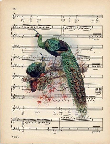 88 best Notes Pictures Vintage images on Pinterest Sheet - tür für küchenschrank 88 best Notes Pictures Vintage images on Pinterest Sheet - tür für küchenschrank