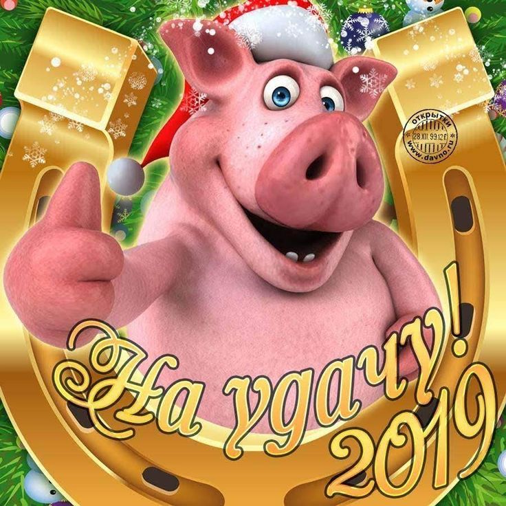 Прикол открытки с новым годом 2019
