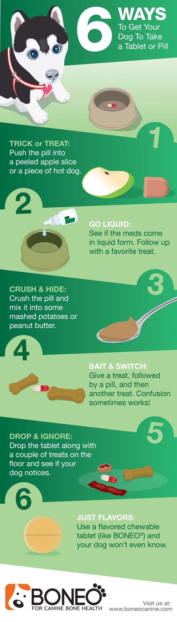 Best Way To Get A Dog To Take A Pill Best Way To Get A Dog To Take A Pill