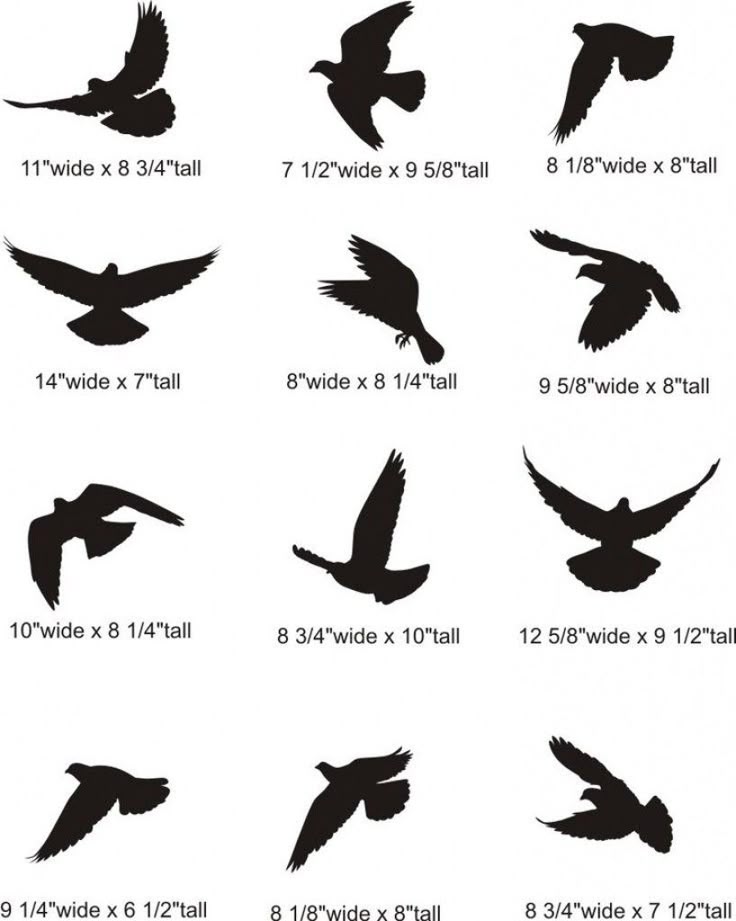 Best 100+ Bird Tattoo Designs For The Bird Lover Best 100+ Bird Tattoo Designs For The Bird Lover