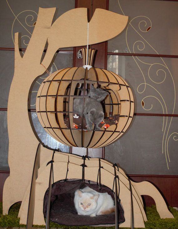 105 best Cats -u003e Bed Hammock images on Pinterest - sch amp ouml ne wohnzimmer ideen 105 best Cats -u003e Bed Hammock images on Pinterest - sch amp ouml ne wohnzimmer ideen